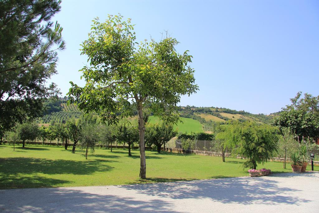 B&B Valmarecchia Poggio Berni Bagian luar foto